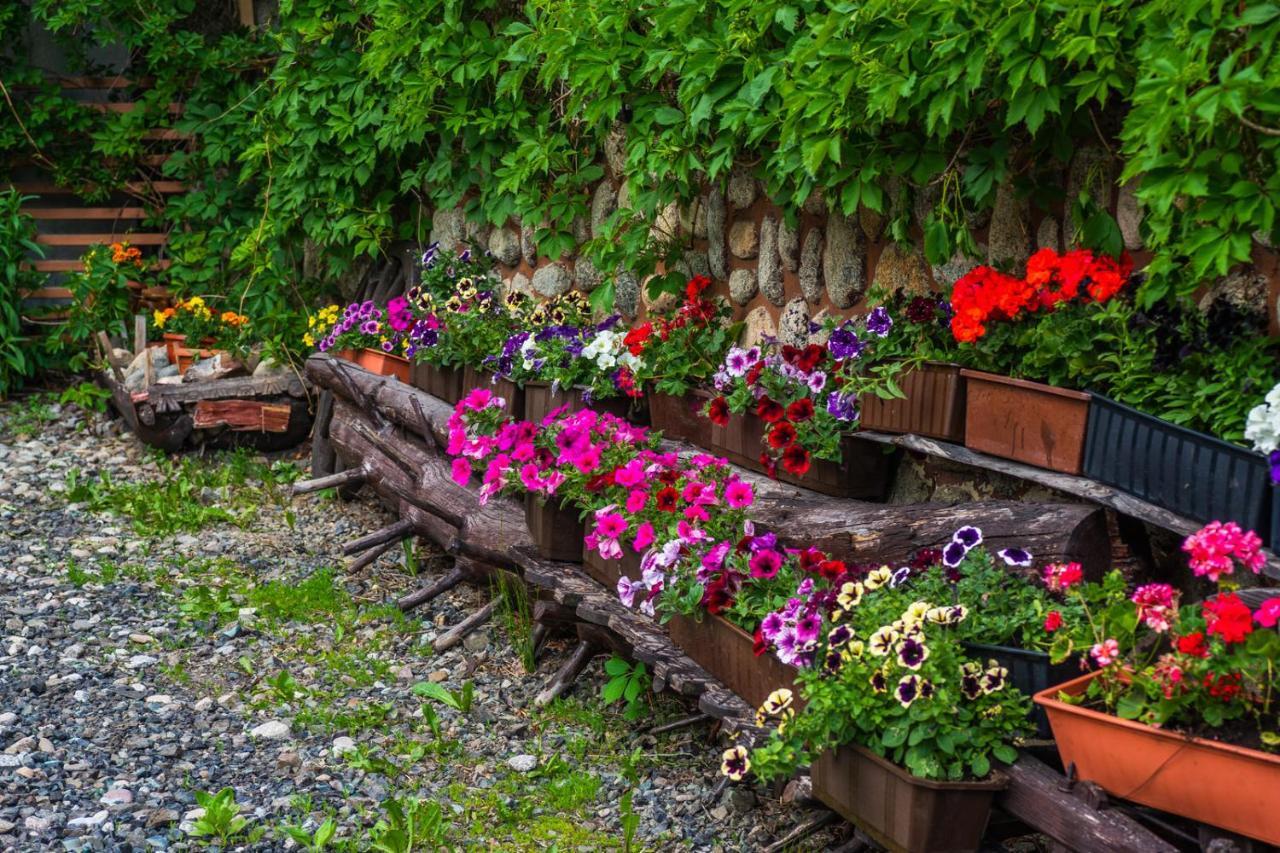 Pokoje Z Widokiem Na Gory I Prywatny Domek Z Zadaszona Altana - Grillem I Ogniskiem. Lägenhet Zakopane Exteriör bild