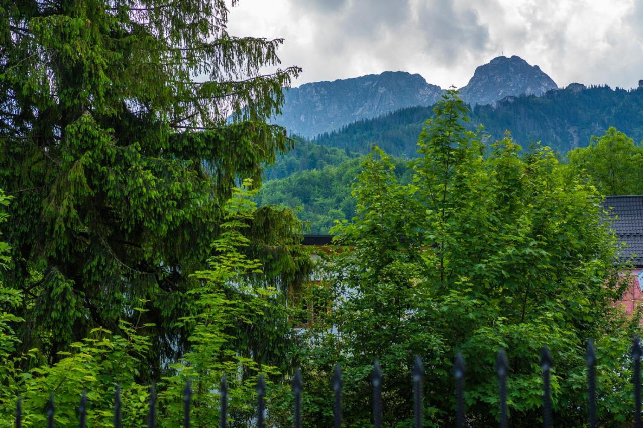 Pokoje Z Widokiem Na Gory I Prywatny Domek Z Zadaszona Altana - Grillem I Ogniskiem. Lägenhet Zakopane Exteriör bild