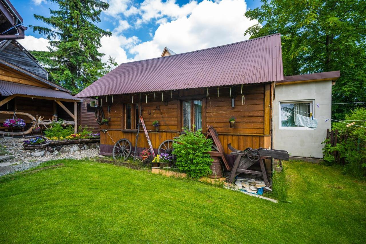 Pokoje Z Widokiem Na Gory I Prywatny Domek Z Zadaszona Altana - Grillem I Ogniskiem. Lägenhet Zakopane Exteriör bild